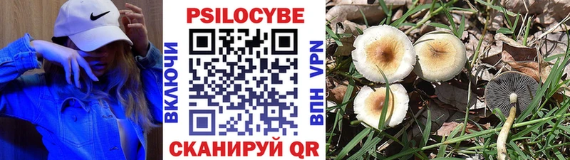 Галлюциногенные грибы Magic Shrooms  маркетплейс какой сайт  Наро-Фоминск 